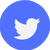 twitter button